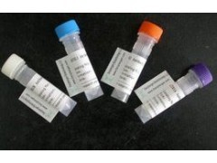 組織因子抗體產(chǎn)品介紹與供應(yīng)詳情 - 上海安研生物試劑銷(xiāo)售網(wǎng)