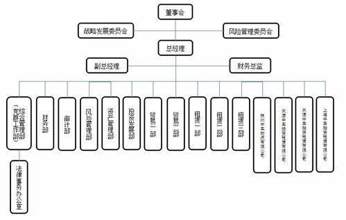 中國(guó)中車(chē)旗下46家子公司軟件開(kāi)發(fā)組織架構(gòu)概覽